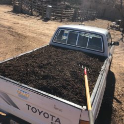 Truck load of compost