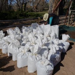 bagged sifted compost