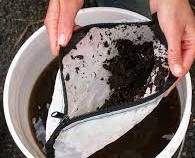 Worm Compost Tea Extract